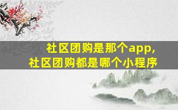 社区团购是那个app,社区团购都是哪个小程序