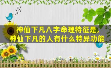 神仙下凡八字命理特征是,神仙下凡的人有什么特异功能