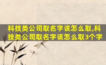 科技类公司取名字该怎么取,科技类公司取名字该怎么取3个字