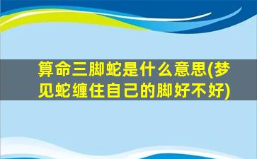 算命三脚蛇是什么意思(梦见蛇缠住自己的脚好不好)