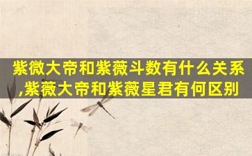 紫微大帝和紫薇斗数有什么关系,紫薇大帝和紫薇星君有何区别