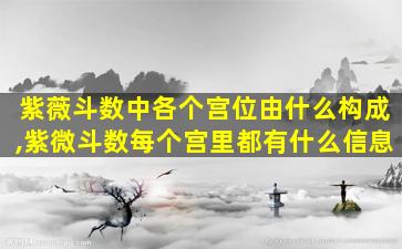 紫薇斗数中各个宫位由什么构成,紫微斗数每个宫里都有什么信息