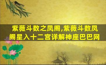 紫薇斗数之凤阁,紫薇斗数凤阁星入十二宫详解神座巴巴网