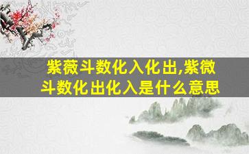 紫薇斗数化入化出,紫微斗数化出化入是什么意思