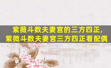 紫薇斗数夫妻宫的三方四正,紫微斗数夫妻宫三方四正看配偶