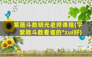 紫薇斗数明光老师课程(学紫微斗数看谁的*
zui
好)