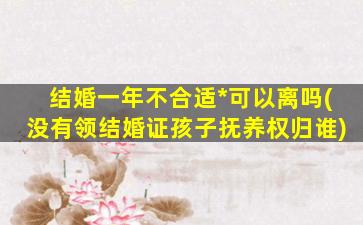 结婚一年不合适*
可以离吗(没有领结婚证孩子抚养权归谁)