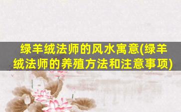 绿羊绒法师的风水寓意(绿羊绒法师的养殖方法和注意事项)