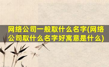 网络公司一般取什么名字(网络公司取什么名字好寓意是什么)