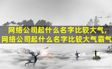 网络公司起什么名字比较大气,网络公司起什么名字比较大气霸气