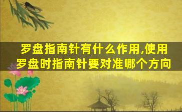 罗盘指南针有什么作用,使用罗盘时指南针要对准哪个方向