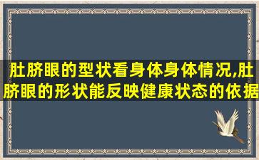 肚脐眼的型状看身体身体情况,肚脐眼的形状能反映健康状态的依据