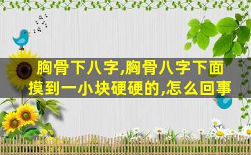 胸骨下八字,胸骨八字下面摸到一小块硬硬的,怎么回事
