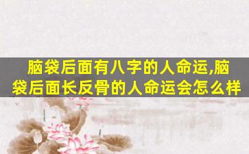 脑袋后面有八字的人命运,脑袋后面长反骨的人命运会怎么样