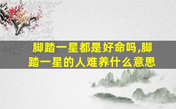 脚踏一星都是好命吗,脚踏一星的人难养什么意思