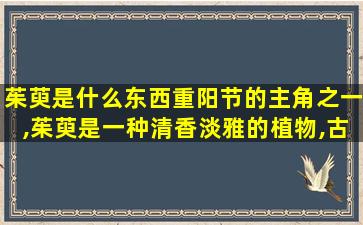 茱萸是什么东西重阳节的主角之一,茱萸是一种清香淡雅的植物,古人在重阳节