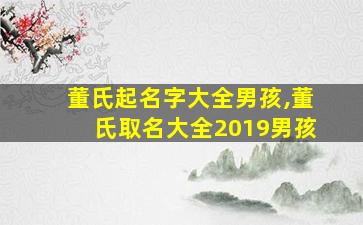 董氏起名字大全男孩,董氏取名大全2019男孩