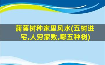 蒲葵树种家里风水(五树进宅,人穷家败,哪五种树)