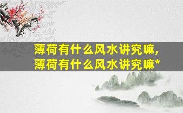 薄荷有什么风水讲究嘛,薄荷有什么风水讲究嘛*