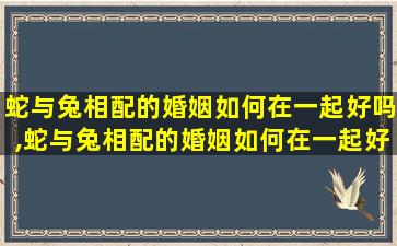 蛇与兔相配的婚姻如何在一起好吗,蛇与兔相配的婚姻如何在一起好吗女生