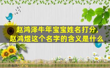 赵鸿泽牛年宝宝姓名打分,赵鸿煜这个名字的含义是什么