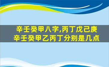 辛壬癸甲八字,丙丁戊己庚辛壬癸甲乙丙丁分别是几点