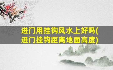 进门用挂钩风水上好吗(进门挂钩距离地面高度)