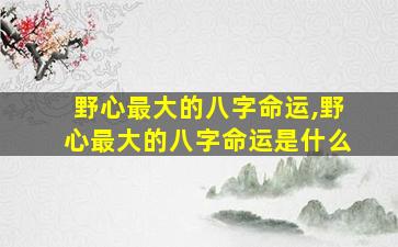 野心最大的八字命运,野心最大的八字命运是什么