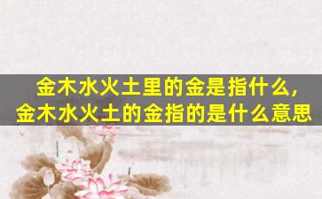 金木水火土里的金是指什么,金木水火土的金指的是什么意思