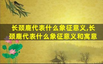 长颈鹿代表什么象征意义,长颈鹿代表什么象征意义和寓意