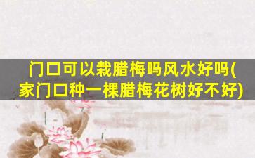 门口可以栽腊梅吗风水好吗(家门口种一棵腊梅花树好不好)