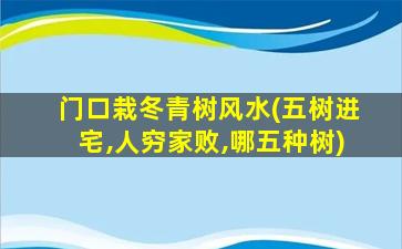 门口栽冬青树风水(五树进宅,人穷家败,哪五种树)