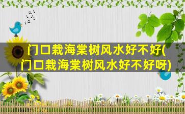 门口栽海棠树风水好不好(门口栽海棠树风水好不好呀)