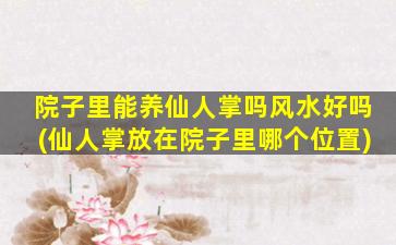 院子里能养仙人掌吗风水好吗(仙人掌放在院子里哪个位置)
