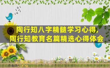 陶行知八字精髓学习心得,陶行知教育名篇精选心得体会