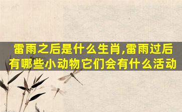 雷雨之后是什么生肖,雷雨过后有哪些小动物它们会有什么活动
