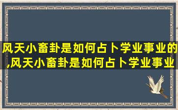 风天小畜卦是如何占卜学业事业的,风天小畜卦是如何占卜学业事业的