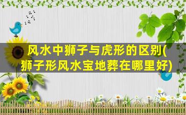 风水中狮子与虎形的区别(狮子形风水宝地葬在哪里好)