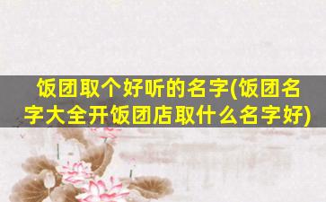 饭团取个好听的名字(饭团名字大全开饭团店取什么名字好)