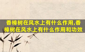 香樟树在风水上有什么作用,香樟树在风水上有什么作用和功效