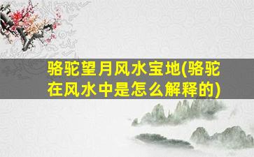 骆驼望月风水宝地(骆驼在风水中是怎么解释的)