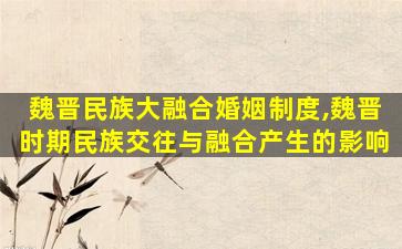 魏晋民族大融合婚姻制度,魏晋时期民族交往与融合产生的影响