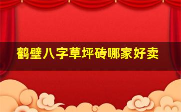 鹤壁八字草坪砖哪家好卖