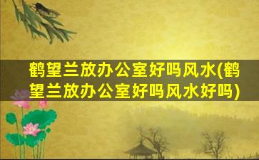 鹤望兰放办公室好吗风水(鹤望兰放办公室好吗风水好吗)