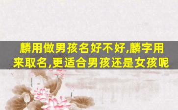 麟用做男孩名好不好,麟字用来取名,更适合男孩还是女孩呢