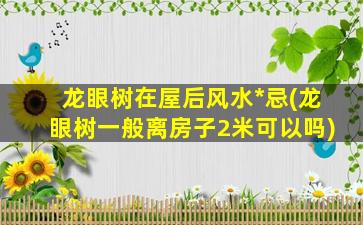 龙眼树在屋后风水*
忌(龙眼树一般离房子2米可以吗)