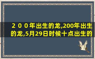 ２００年出生的龙,200年出生的龙,5月29日时候十点出生的