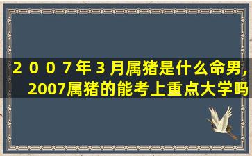 ２００７年３月属猪是什么命男,2007属猪的能考上重点大学吗